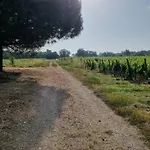 Au Cœur Des Vignes Château Sainte Barbe Casa de Férias