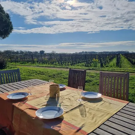 Au Coeur Des Vignes Chateau Sainte Barbe Ferienhaus