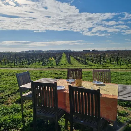 Ferienhaus Au Coeur Des Vignes Chateau Sainte Barbe *