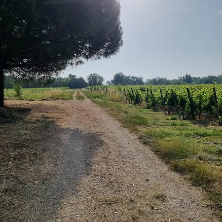 Au Coeur Des Vignes Chateau Sainte Barbe Ferienhaus