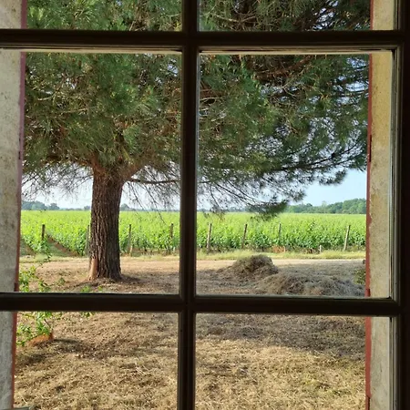 Ferienhaus Au Coeur Des Vignes Chateau Sainte Barbe Ambès