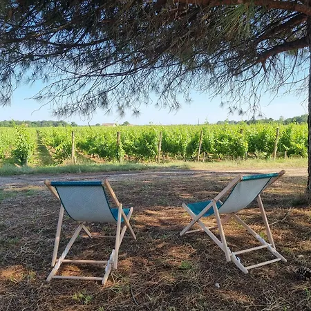 Ferienhaus Au Coeur Des Vignes Chateau Sainte Barbe Ambès